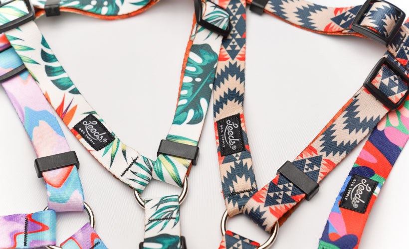 TROPICANA - ハーネス