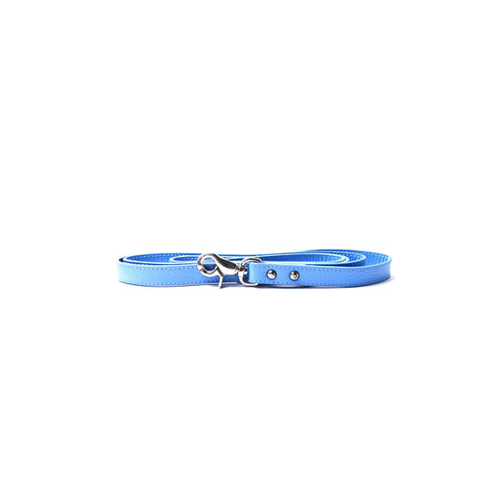 Balley Dog Leash Blue