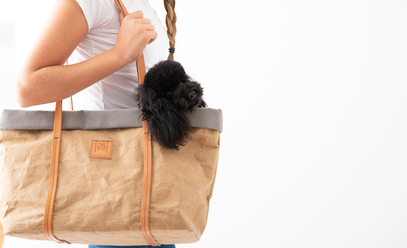 ANNIE - トラベルドッグバッグ(グレー)