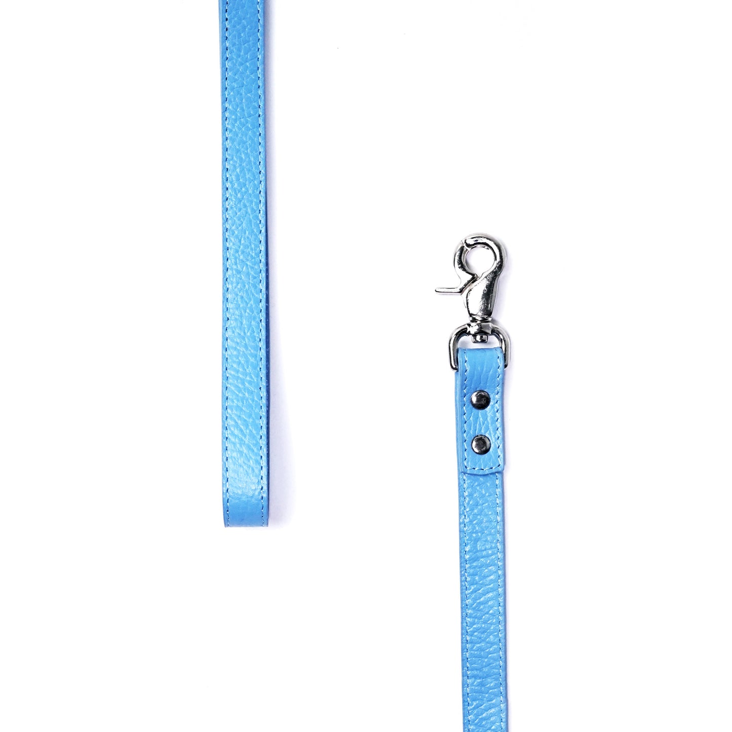 Balley Dog Leash Blue