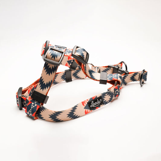 ARROYO - ハーネス