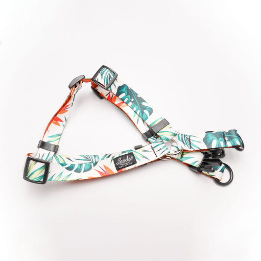 TROPICANA - ハーネス