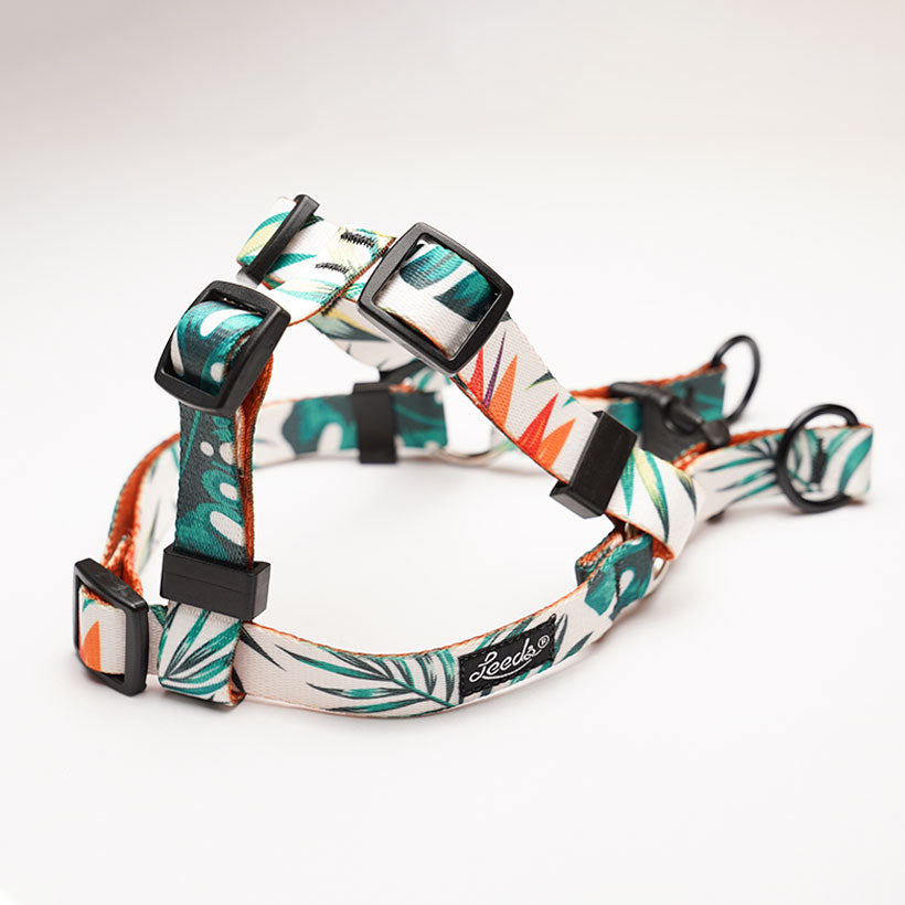 TROPICANA - ハーネス