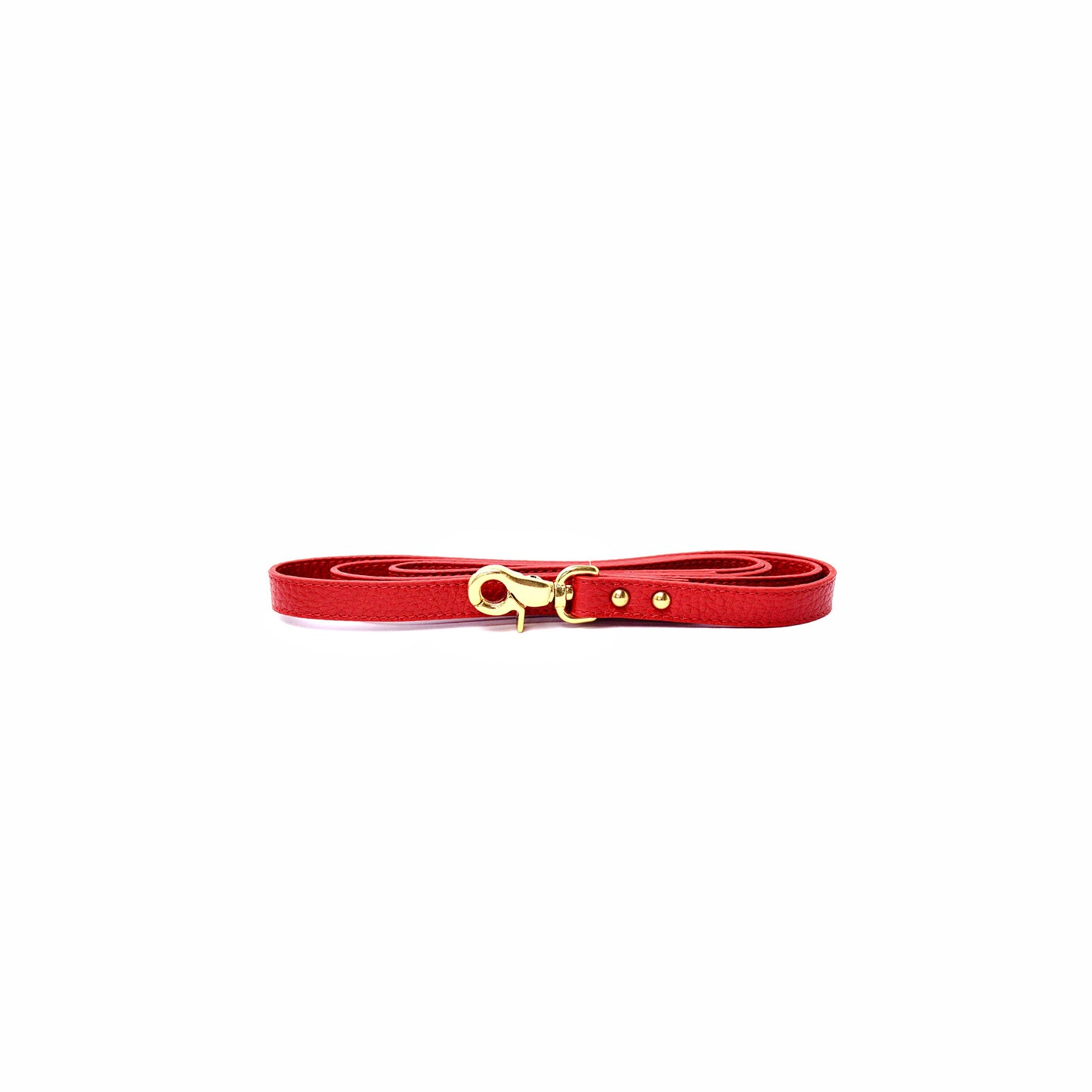 Balley Dog Leash Red